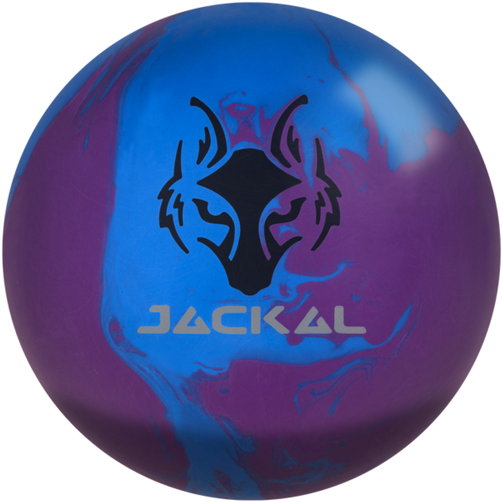 The Alpha Jackal is ready to attack Wednesday January 15