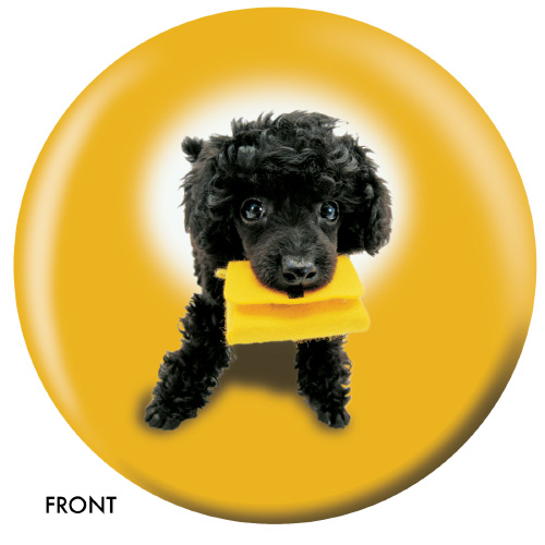 dog bowling ball