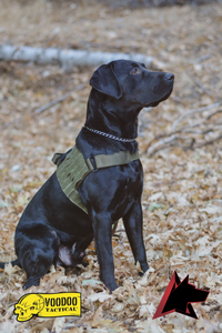 ALPHA K9 MARK I TACTICAL DUTY HARNESS W/ BALLISTIC PANELS ALPHA K9 MARK I TACTICAL DUTY HARNESS W/ BALLISTIC PANELS