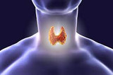 Thyroid Diet and Supplements