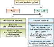 Food Sensitivity Categories