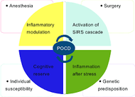 Anesthesia and Dementia and/or Alzheimer’s