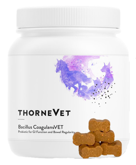Thorne Vet Gut Health Bundle 1 kit
