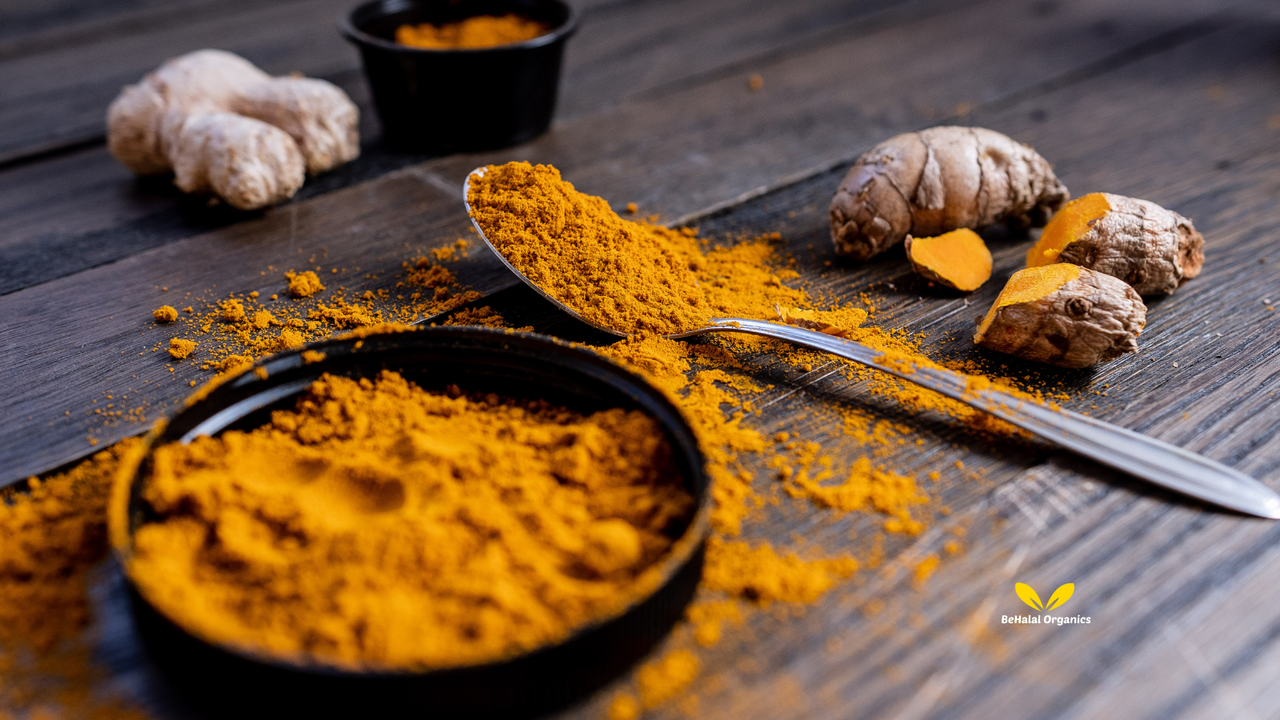 10 Incredible Ways Turmeric and Ginger Improve Cognitive and Physical Performance 10 Incredible Ways Turmeric and Ginger Improve Cognitive and Physical Performance
