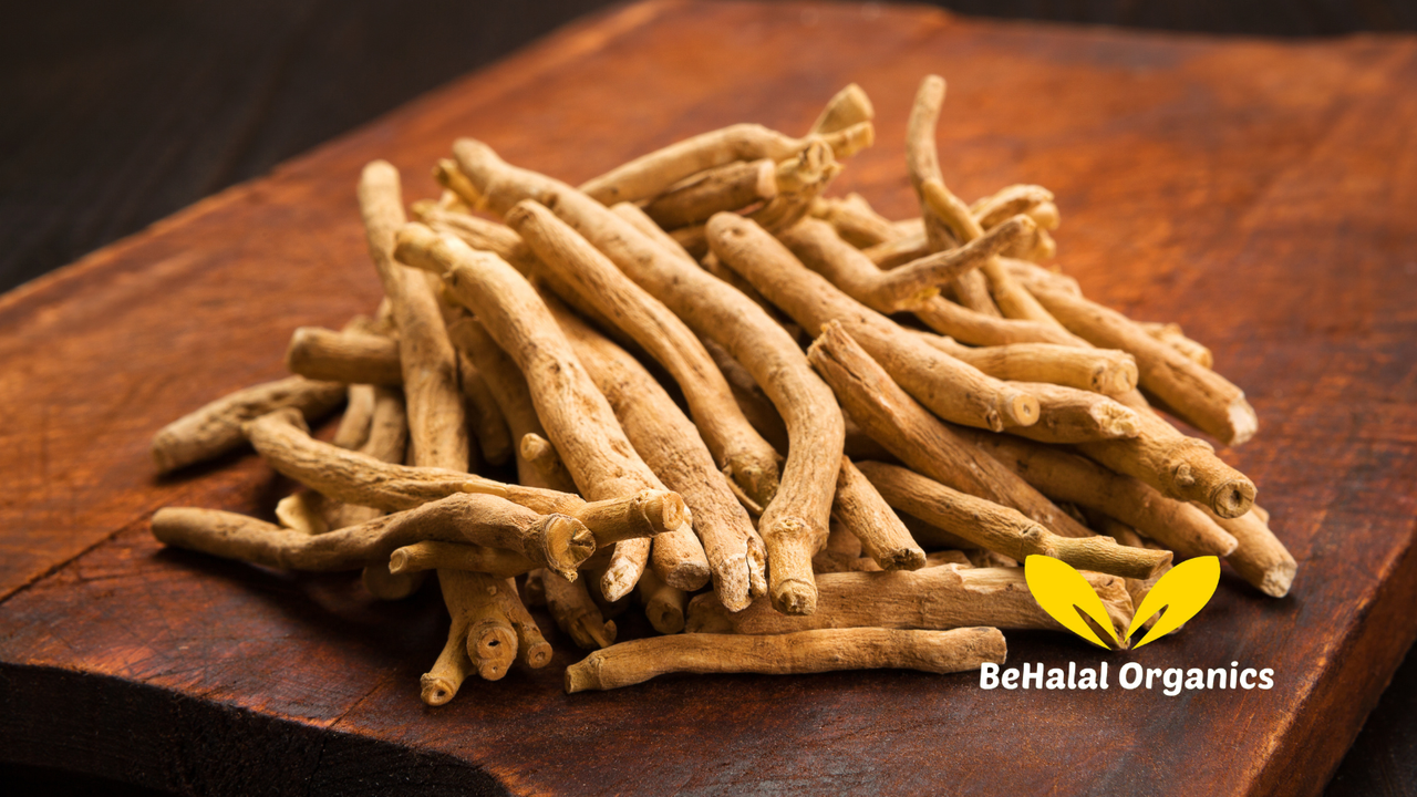 Why Ashwagandha Is Called the “King of Ayurvedic Herbs”