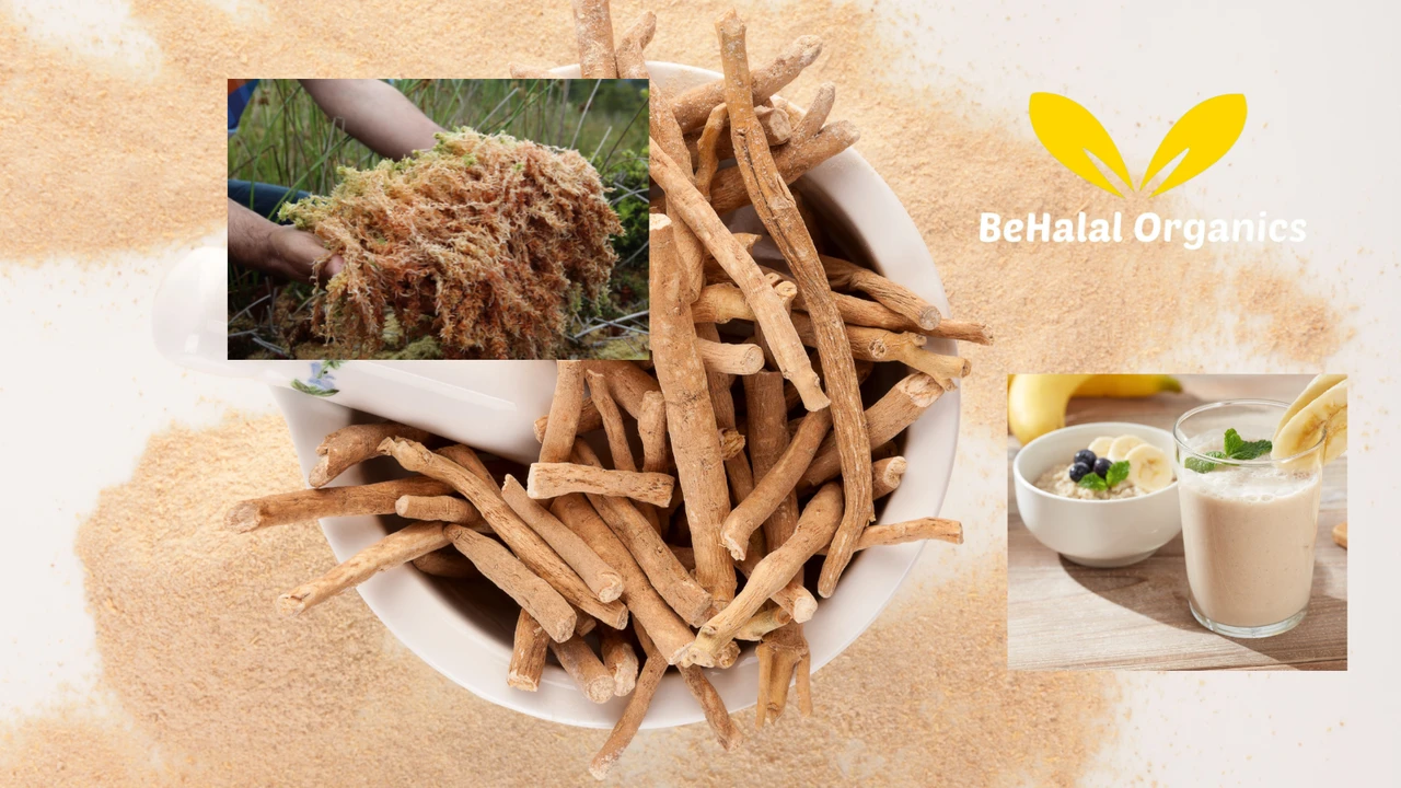 Is Ashwagandha Irish Sea Moss Gel Worth Adding to Your Daily Routine?