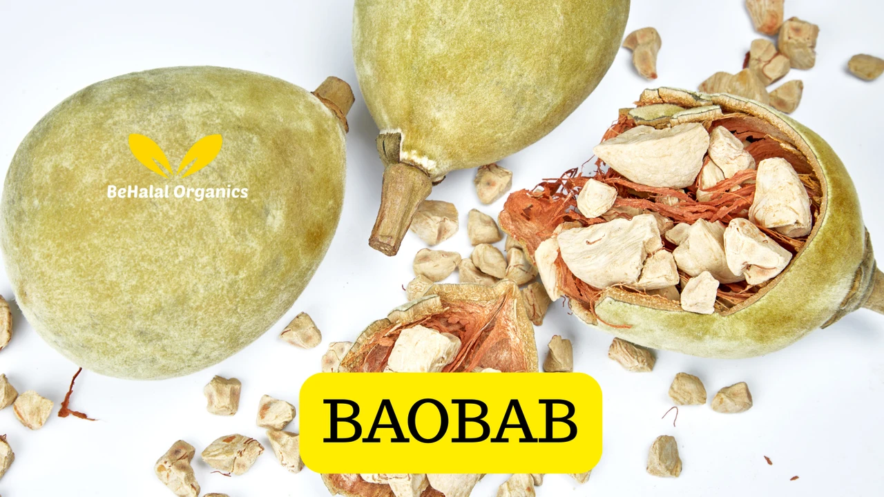 Baobab Fruit Powder Benefits: What You Should Know