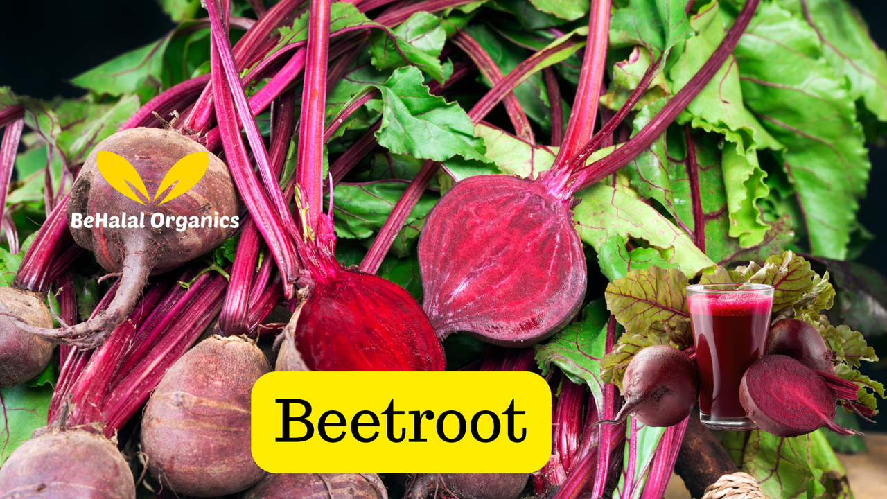 Top 10 Health Benefits of Beetroot Sea Moss Gel