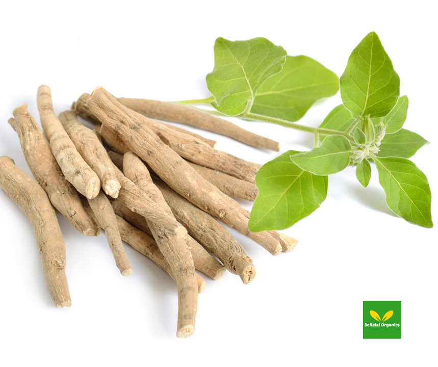 The Benefits of Ashwagandha