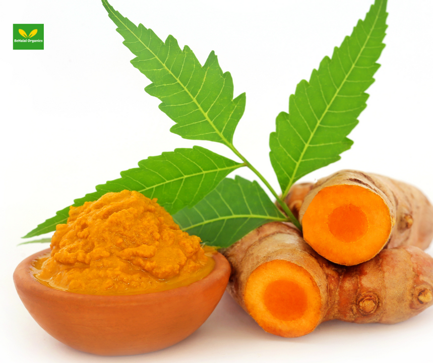 Turmeric Power – Revitalize Health Naturally