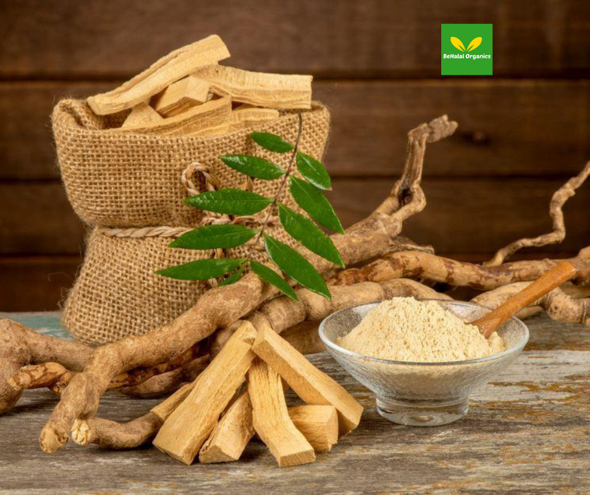 ​Benefits of Tongkat Ali: Unlocking the Potential of Nature's Miracle Herb