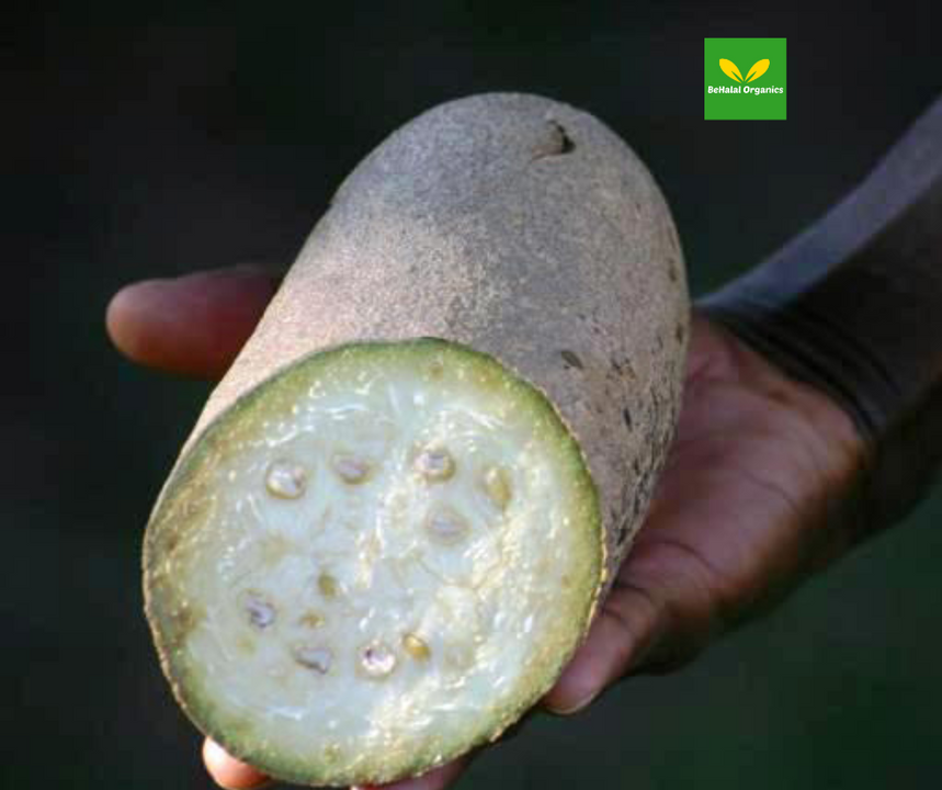 ​The Health Benefits of Sausage Fruit (Kigelia Africana)