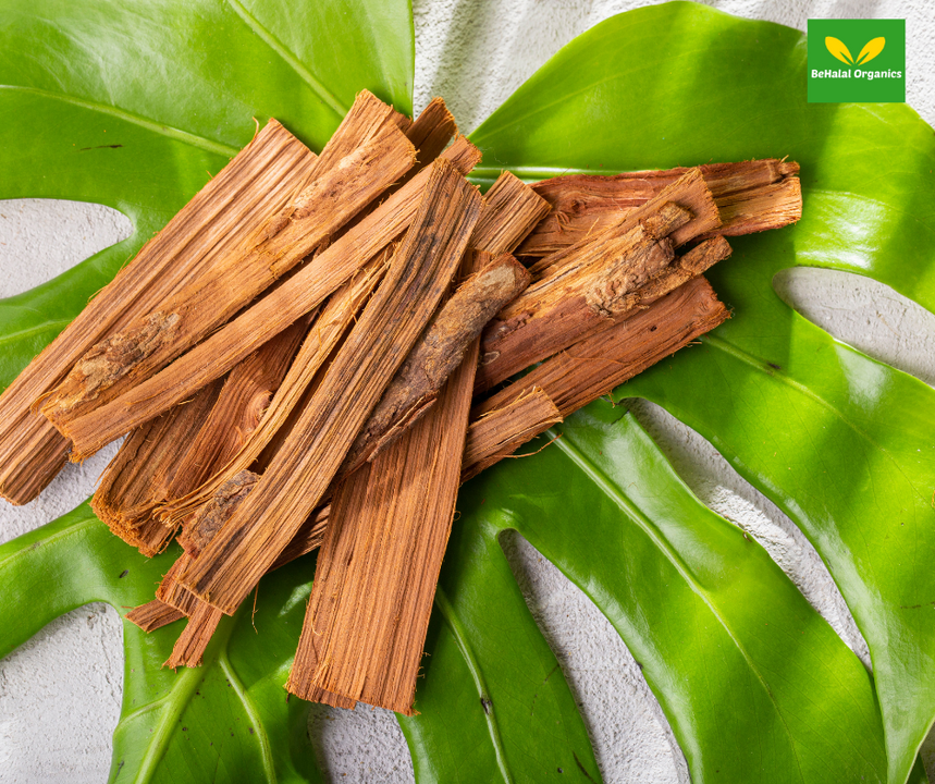 Cat's Claw Health Benefits