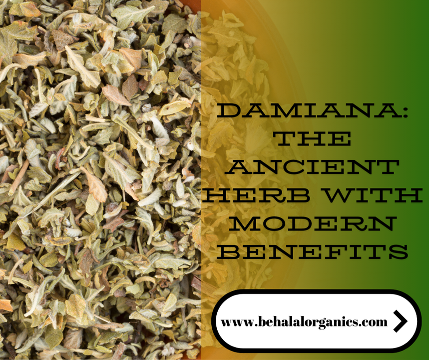 Damiana: The Ancient Herb with Modern Benefits