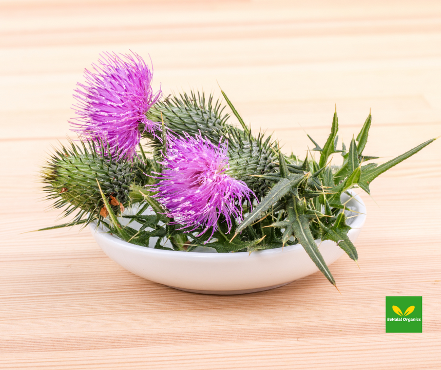Unveiling Milk Thistle's Health Wonders