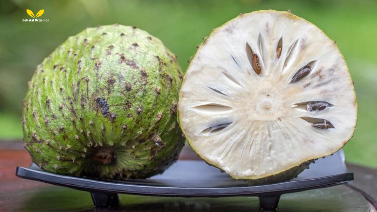 Soursop (Graviola): Health Benefits, Uses, and Nutritional Value