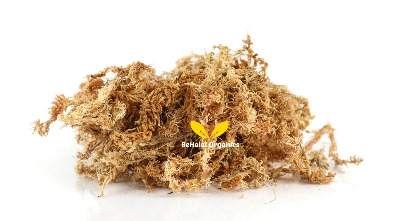 Irish Sea Moss Powder: Nutrition Facts, Minerals, and Uses