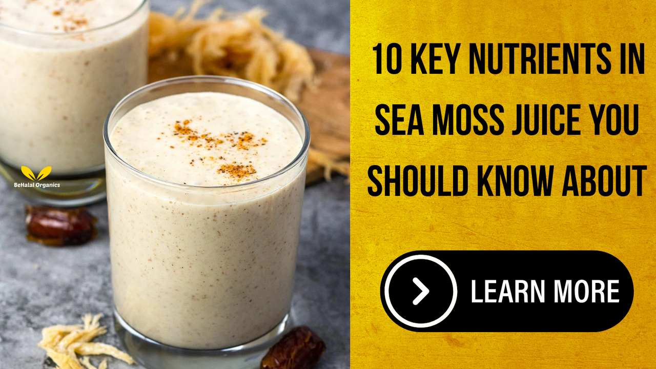 10 Key Nutrients in Sea Moss Juice You Should Know About