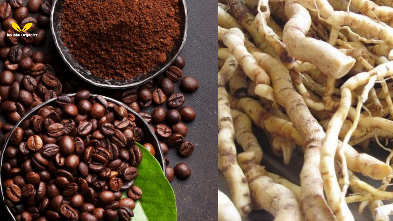 How Mondia Whitei and Uganda Coffee Work Together to Enhance Men’s Wellness How Mondia Whitei and Uganda Coffee Work Together to Enhance Men’s Wellness
