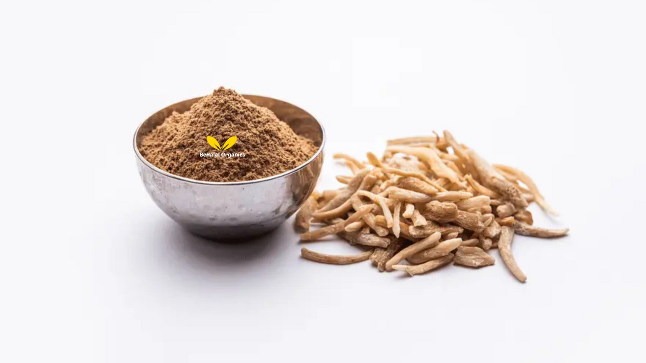 Top Benefits of Safed Musli for Men’s Health and Vitality