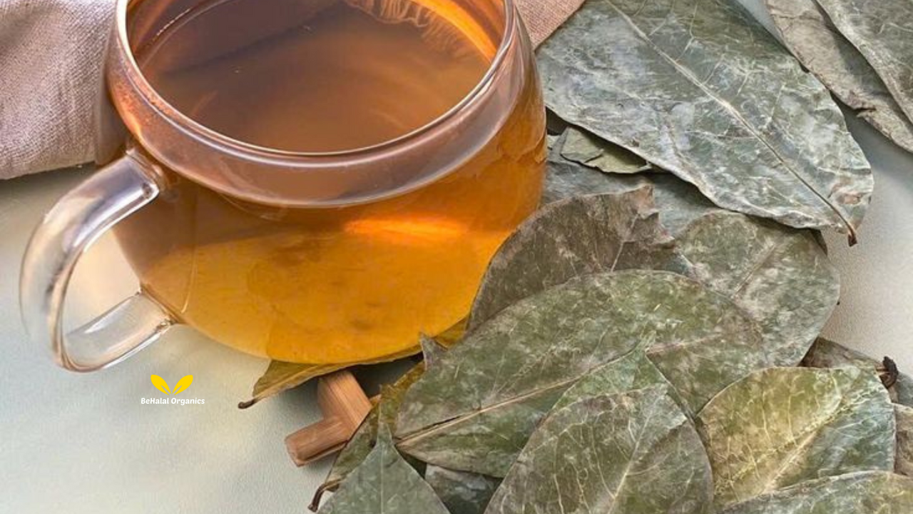 Soursop Leaves Tea: How to Prepare and Why It's Trending