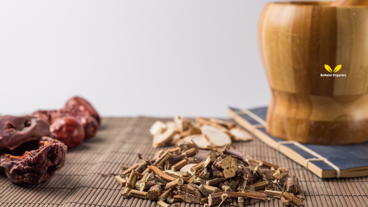 Why You Should Add Burdock Root to Your Daily Routine