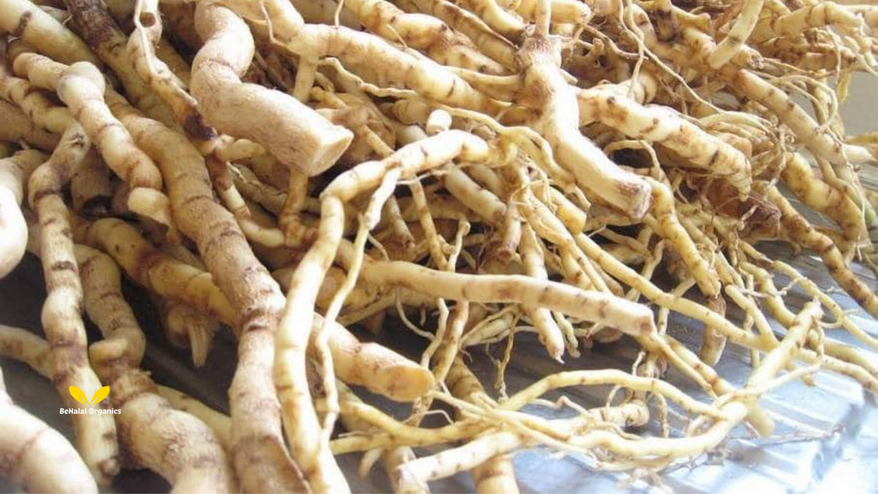 Where to Buy Authentic Mondia & Omusolonga Products Online Where to Buy Authentic Mondia & Omusolonga Products Online