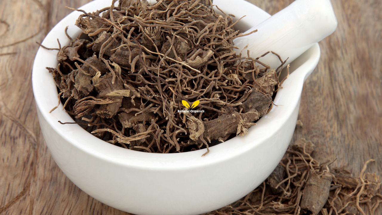 What is Blue Cohosh? – History, Botany, and Identification What is Blue Cohosh? – History, Botany, and Identification