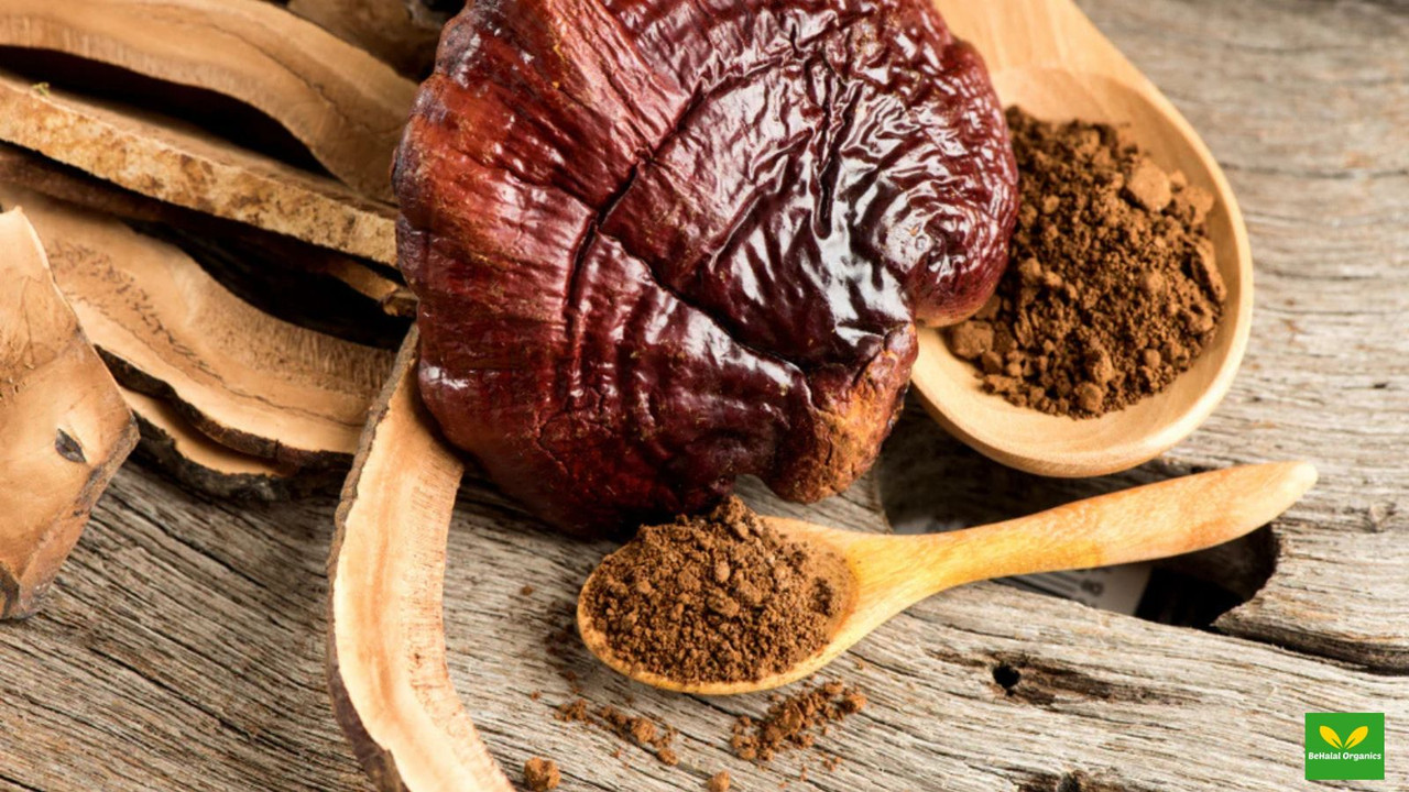Reishi Mushroom: The Ultimate Superfood for Health and Wellness Reishi Mushroom: The Ultimate Superfood for Health and Wellness