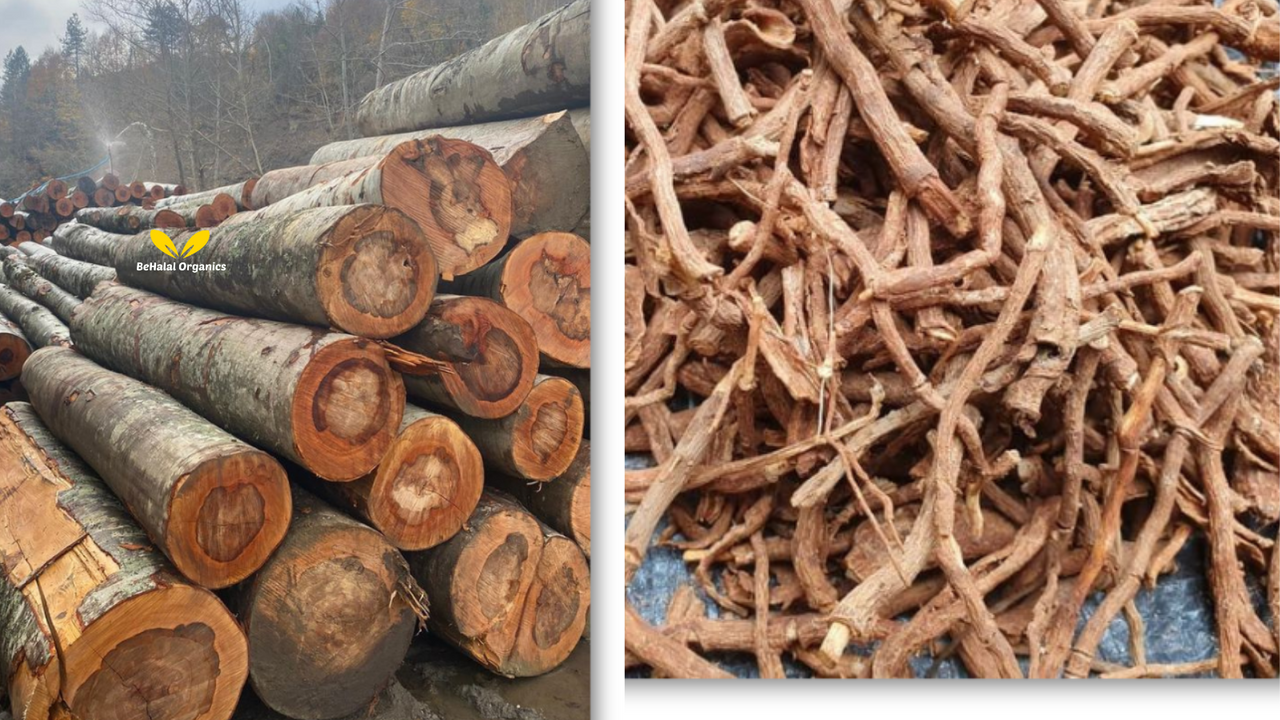 Benefits of Super Wild Harder & Longer Capsules for Men’s Vitality Benefits of Super Wild Harder & Longer Capsules for Men’s Vitality