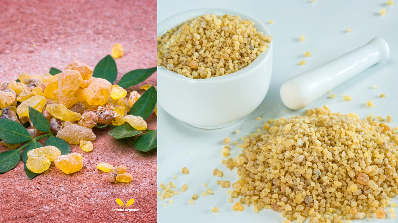 Top 10 Health Benefits of Boswellia Serrata for Mind and Body