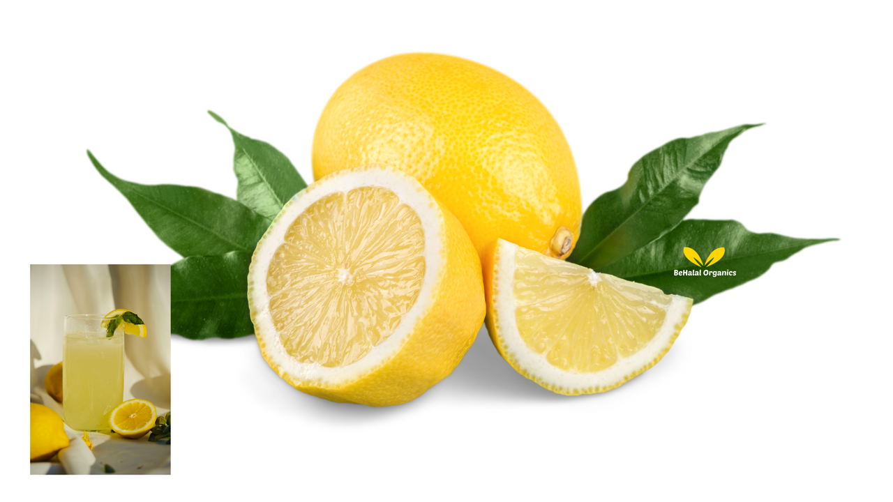 Top Health Benefits of Lemon Irish Sea Moss Gel You Should Know