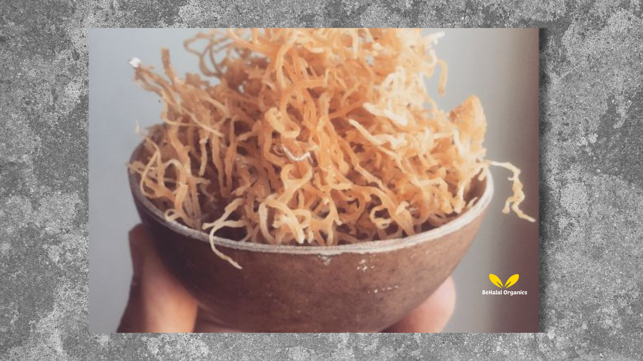102 Minerals: Why Irish Sea Moss is Called the “Miracle of the Sea”