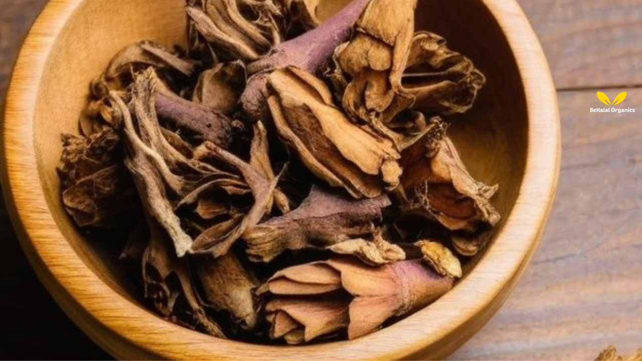 Boost Your Energy Naturally with Adrenal Gland Support by Livingston Natural Herbal Labs