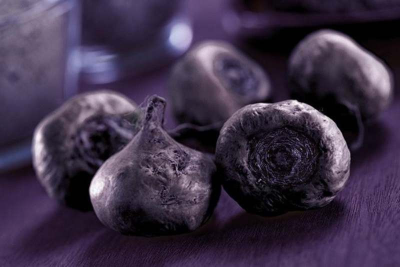 Unlocking Wellness: Black Maca Root Benefits Revealed