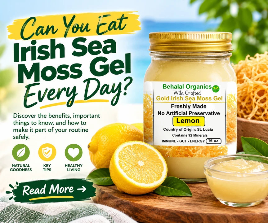 Can You Eat  Lemon Irish Sea Moss Gel Every Day?