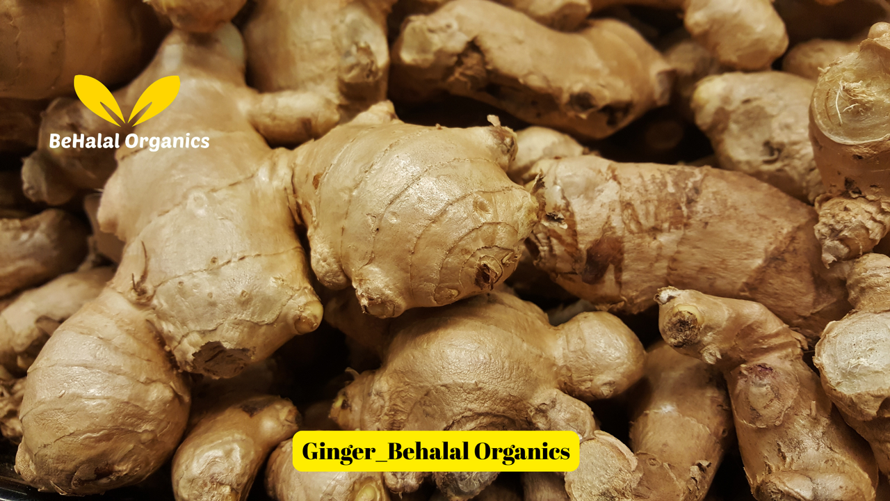 Fresh Ginger vs Dried Ginger: Which Is Better?