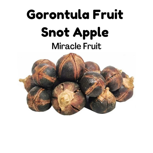25 Amazing Health Benefits of Gorontula Syrup for Women