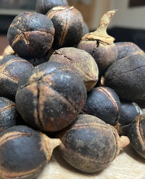 Gorontula Nutrition Facts: Vitamins, Minerals & Natural Compounds