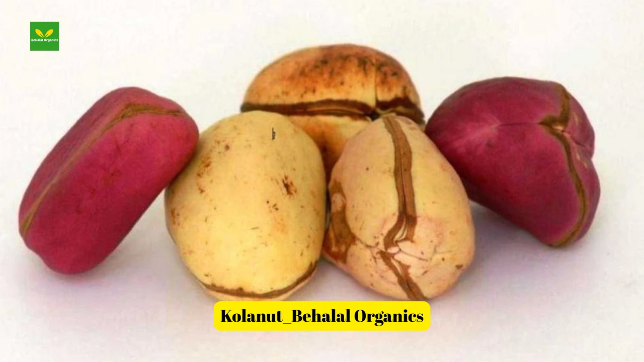 What Are Kola Nut Bitters With Garlic, Ginger, and Moringa?