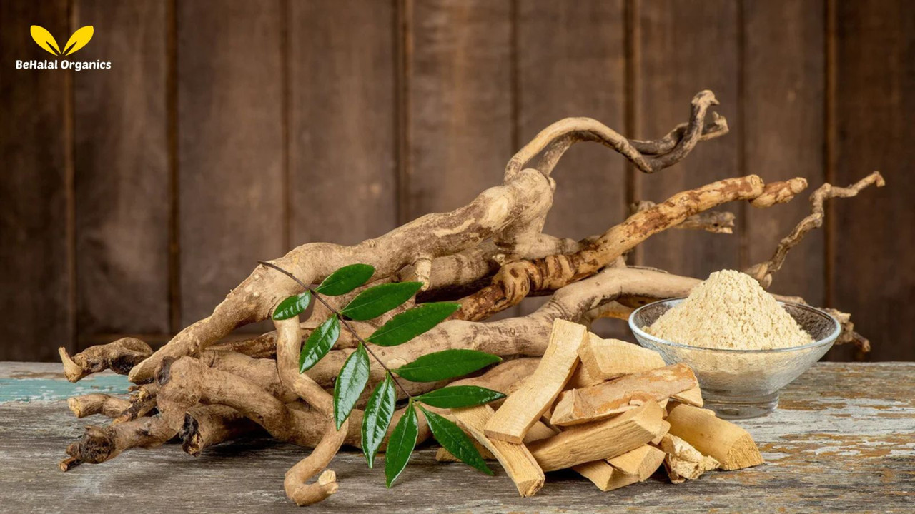 How to Make an Energy-Boosting Drink with Fadogia & Mondia Whitei