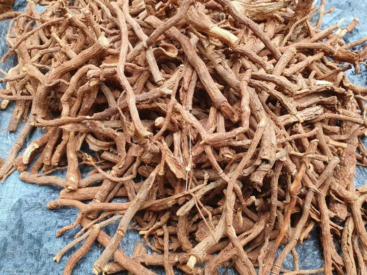 Does Mondia Whitei Root Powder Support Healthy Testosterone Levels?