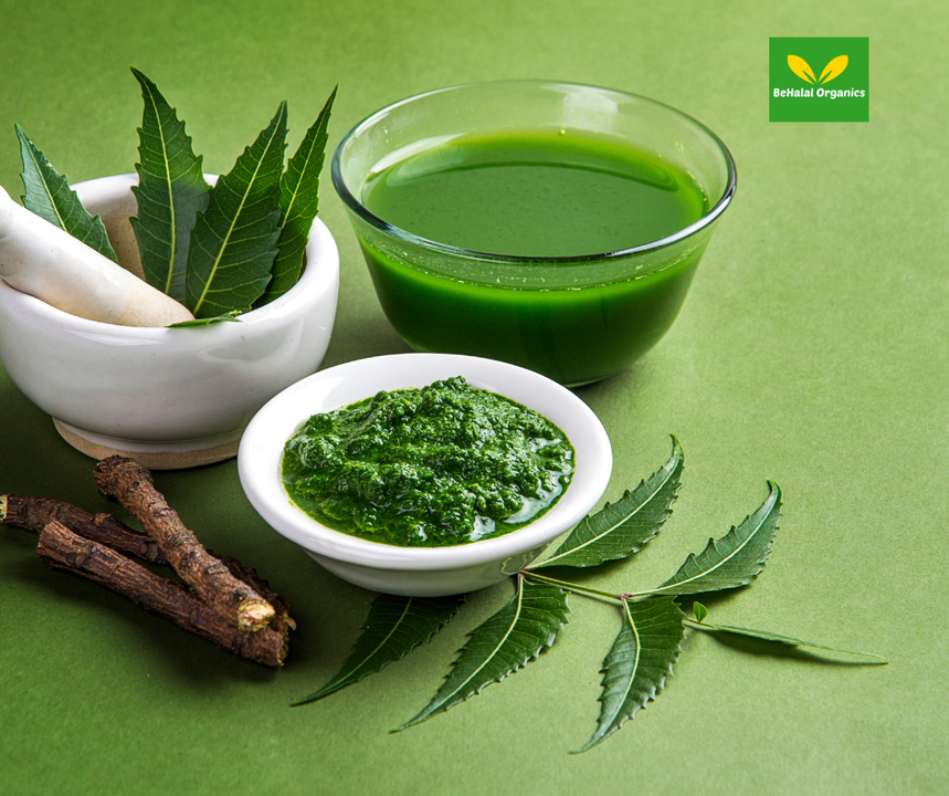 Discover Why Neem is Our Herb of Choice and Why It Should Be Yours Too!