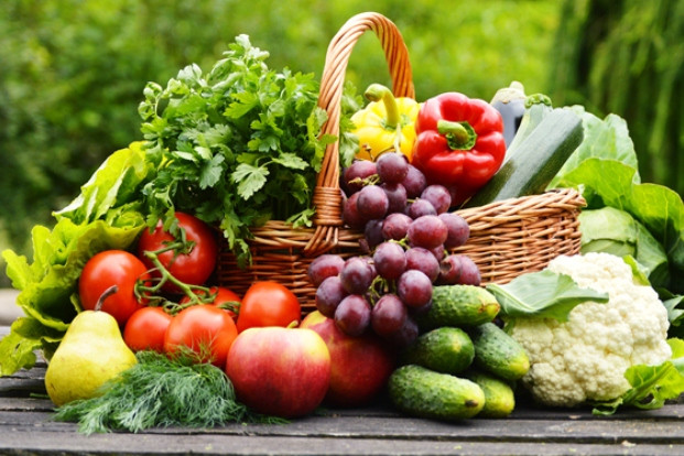 Nutrition Deciphered: A Blueprint for Lifelong Health