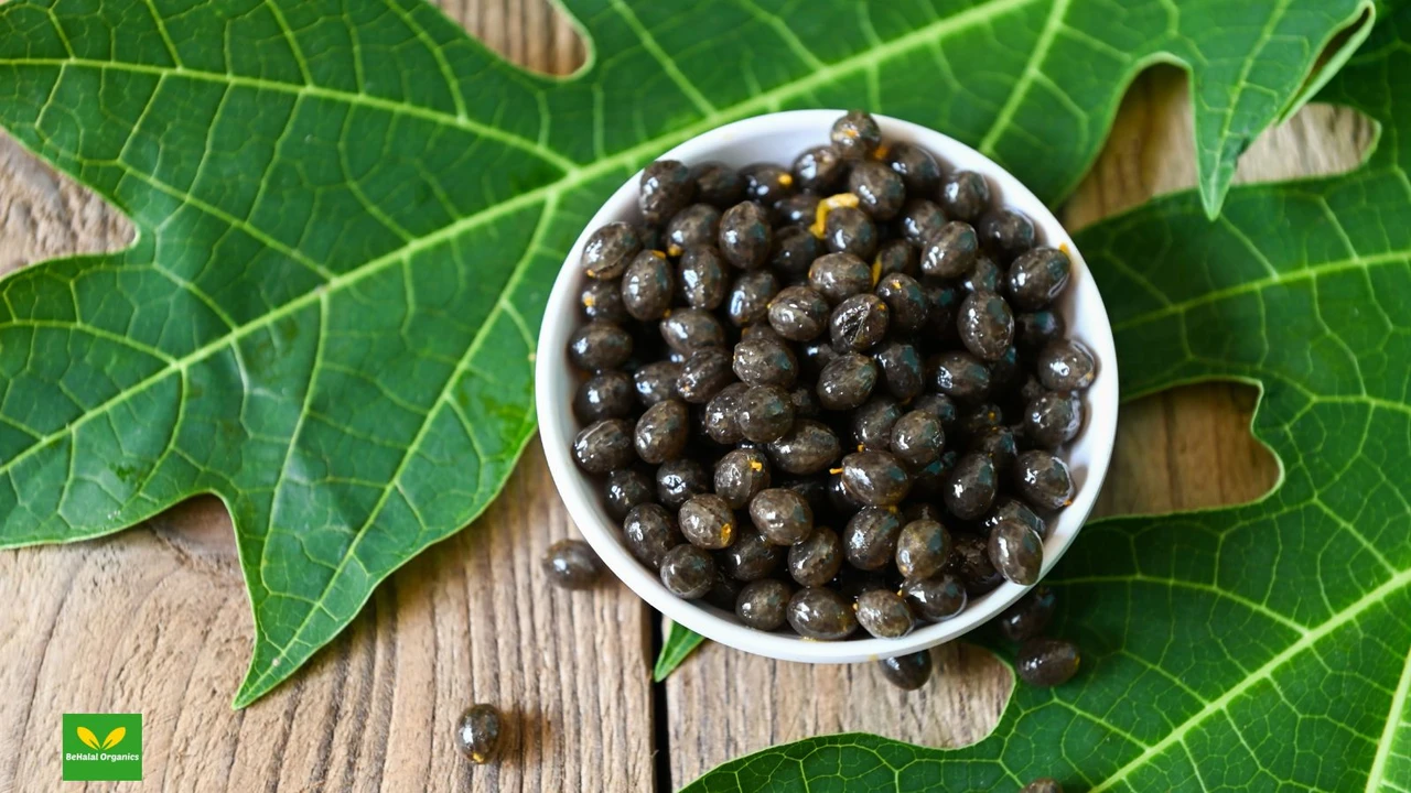 Papaya Seed Benefits: 15 Reasons to Add Them to Your Wellness Routine