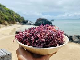 ​Prenatal Vitamins and Purple Irish Sea Moss: Enhancing Maternal and Fetal Health in Women