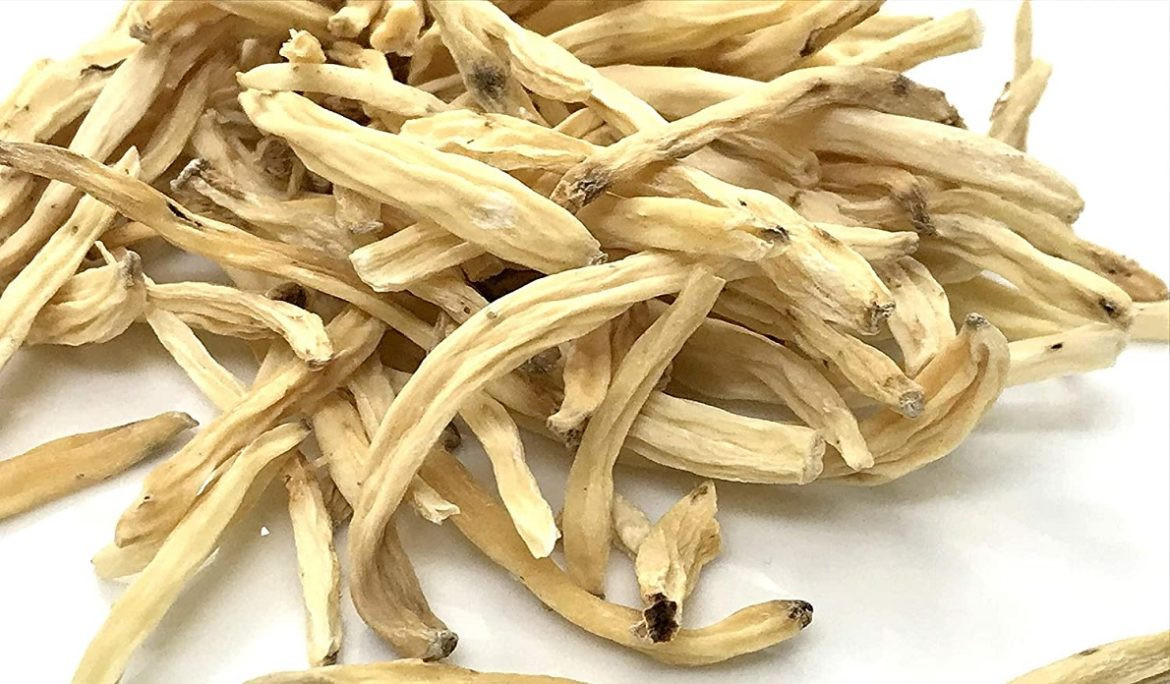 Unveiling Safed Musli's Health Benefits