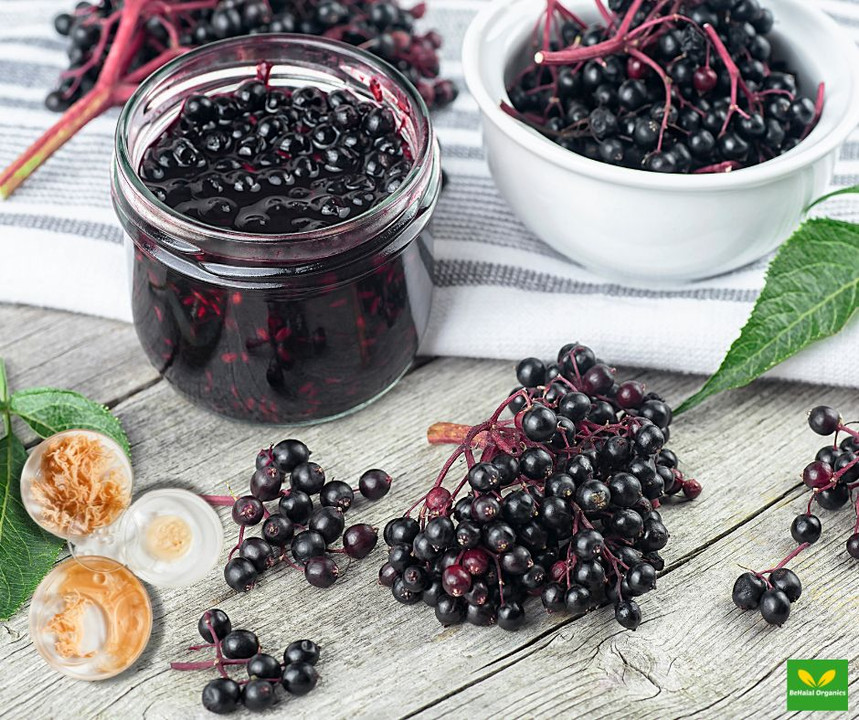 Sea Moss Powder with Elderberry: A Natural Immune-Boosting Superfood