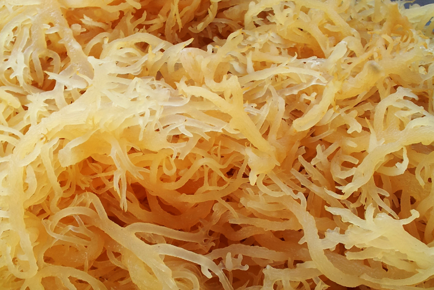 Top Benefits of Irish Sea Moss Powder