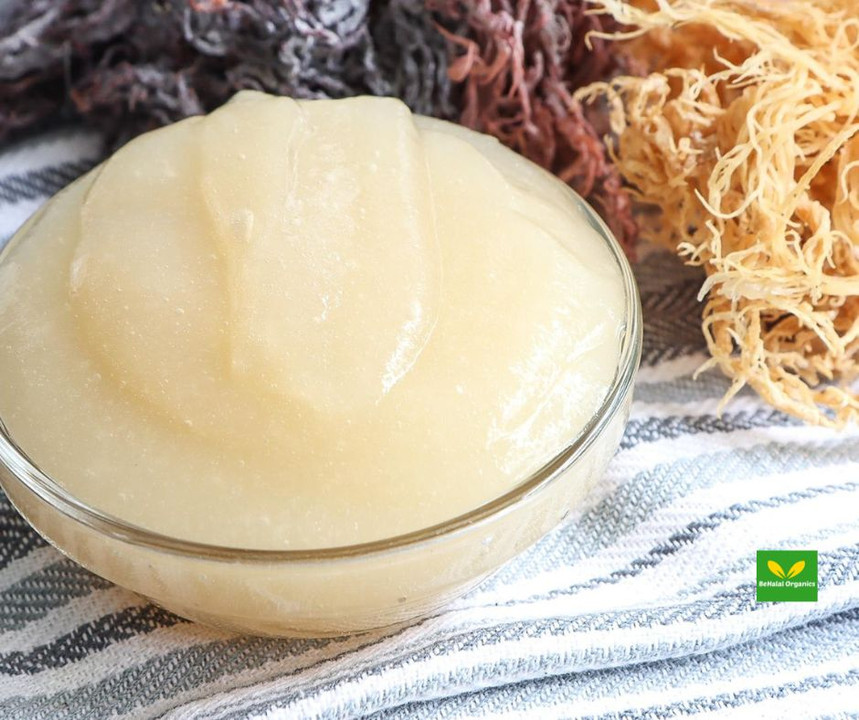 Sea Moss Gel: Nature’s Secret Superfood You Need to Try
